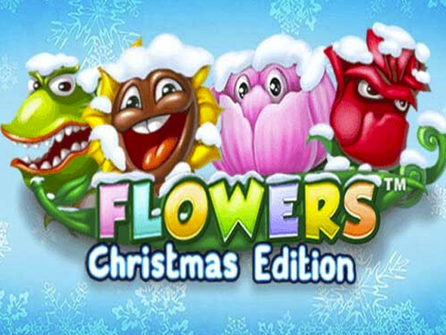 Flowers Christmas Edition